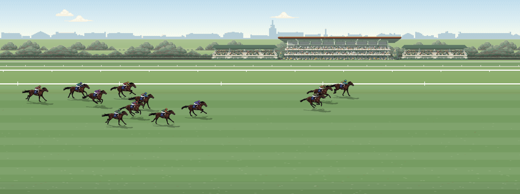 Twelve horses on the back straight at Gallopera Park, with the stands across the infield